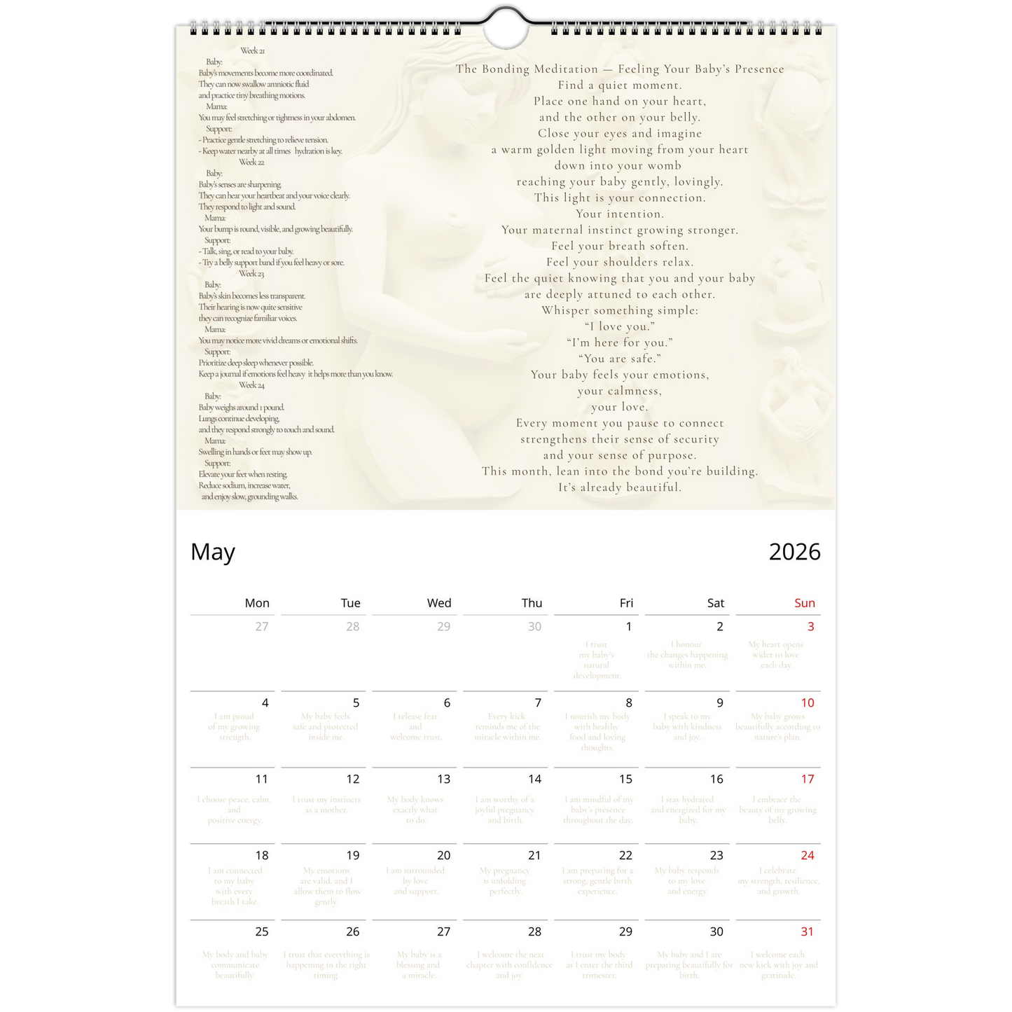 082132fa-895a-42fc-ab3c-97070af4b18f