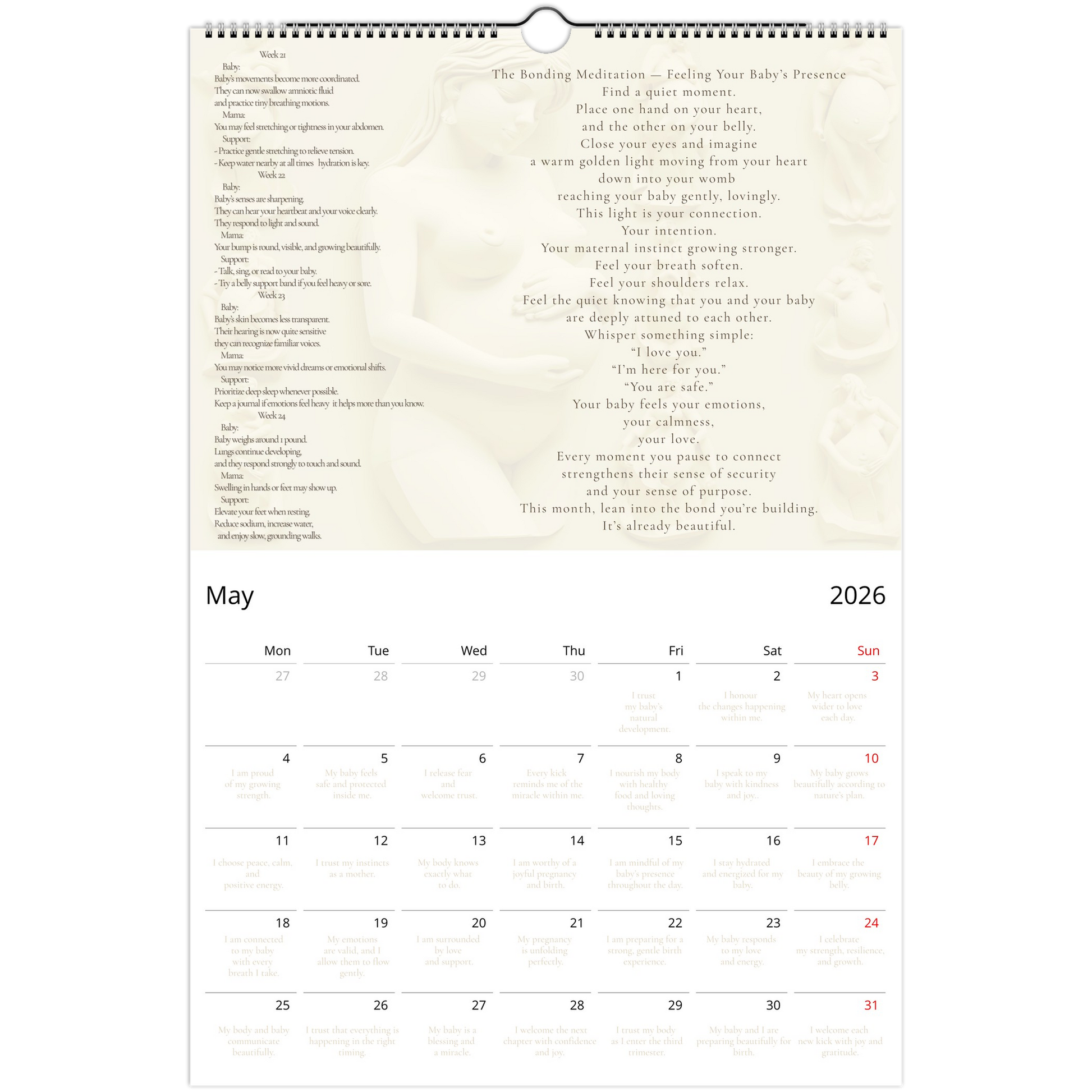 082132fa-895a-42fc-ab3c-97070af4b18f