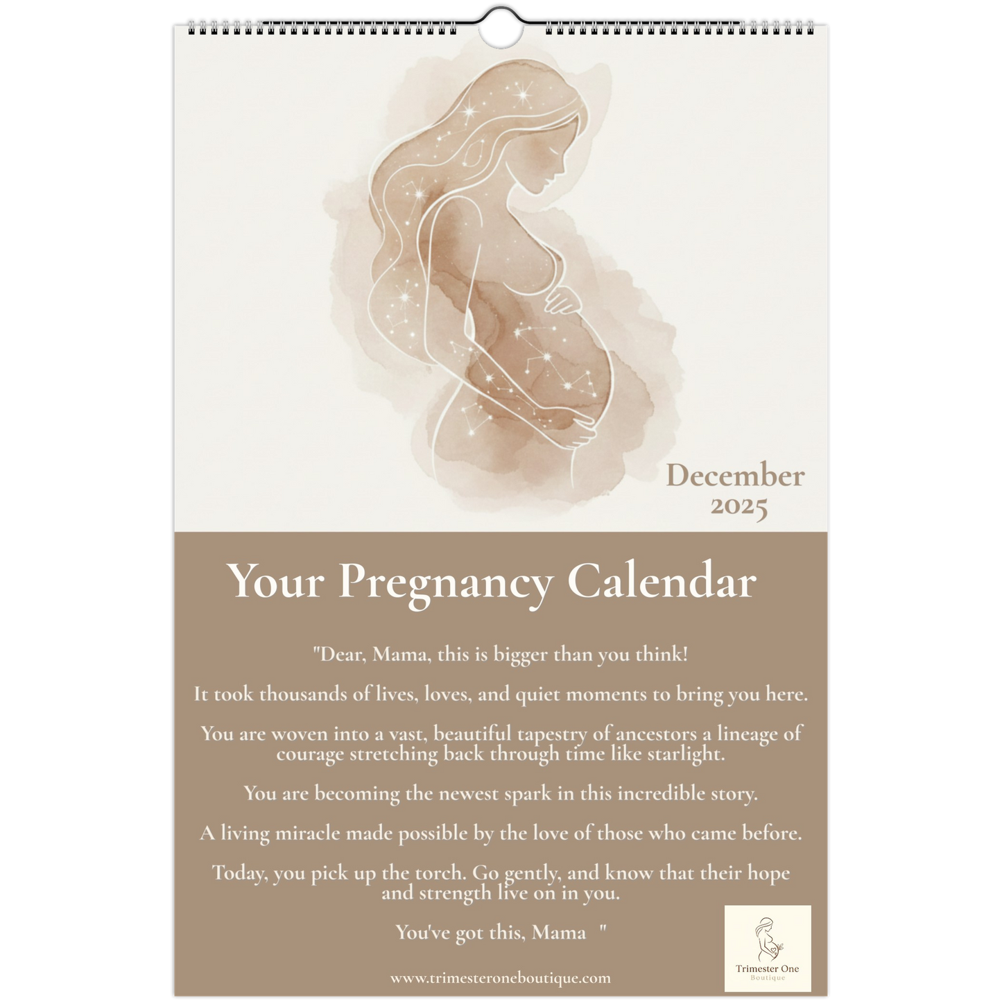 146ced25-47ae-49dc-9fd2-7fd5172f9ac4