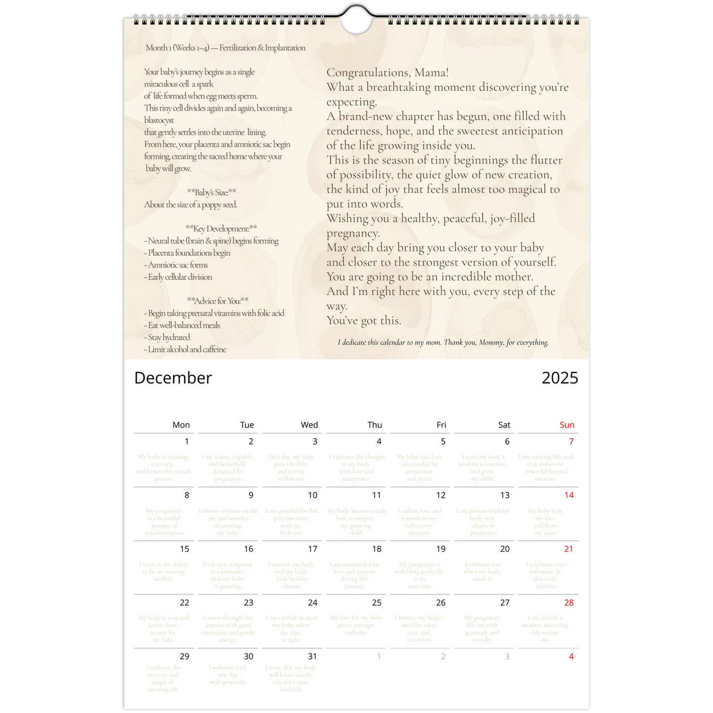 32291750-6107-4f91-aa30-0761f91f9cd7