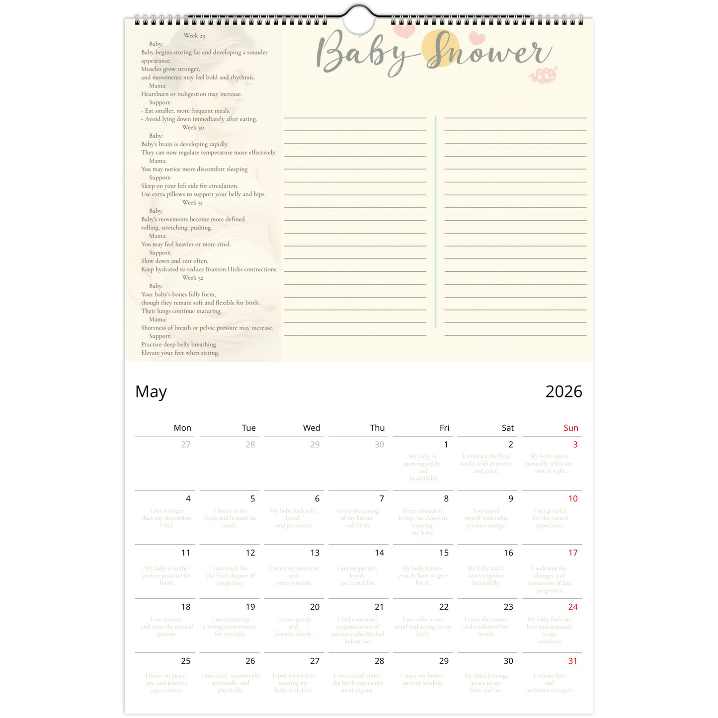 3d0519f2-81e7-4654-9c2e-efb95150d32b