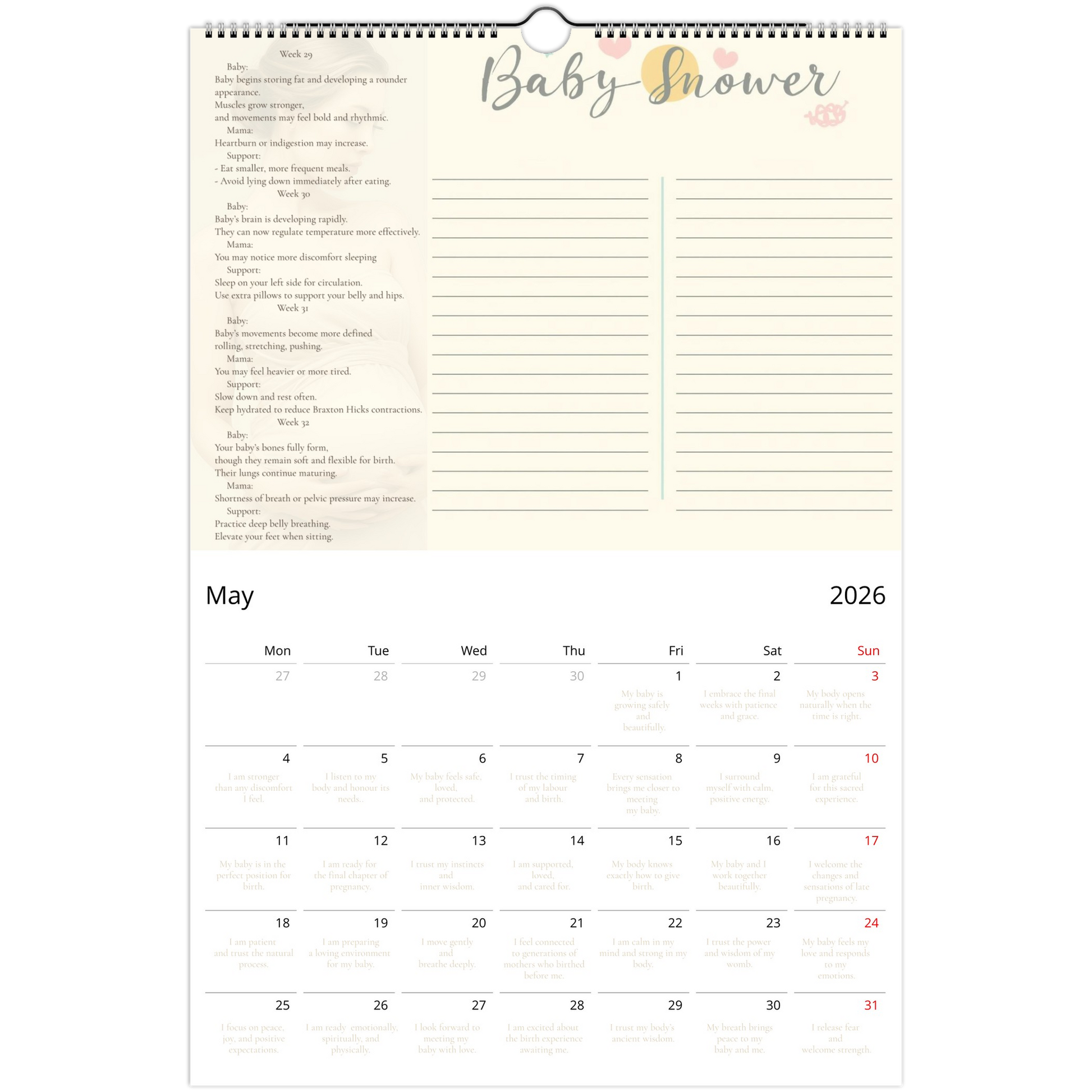 3d0519f2-81e7-4654-9c2e-efb95150d32b