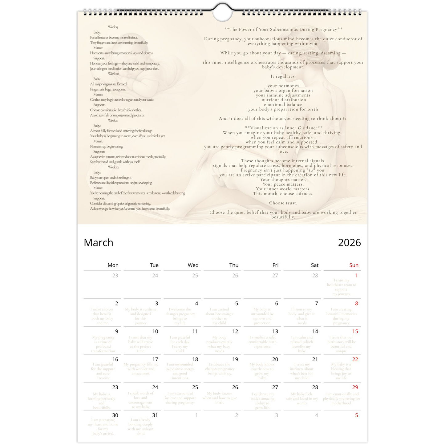 5ccd5760-b43b-4277-8873-92d8a876d693