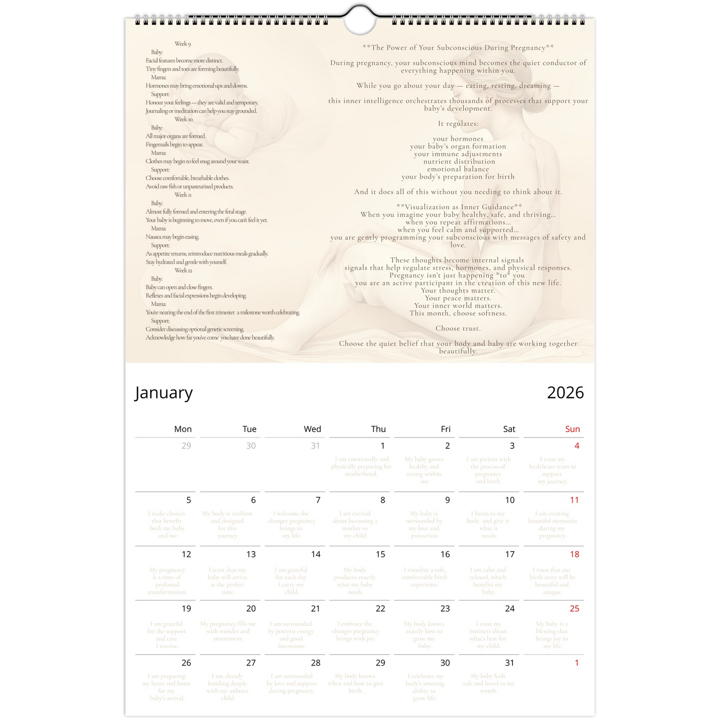 70f14e6a-64a7-4e0b-9213-1ed485642362