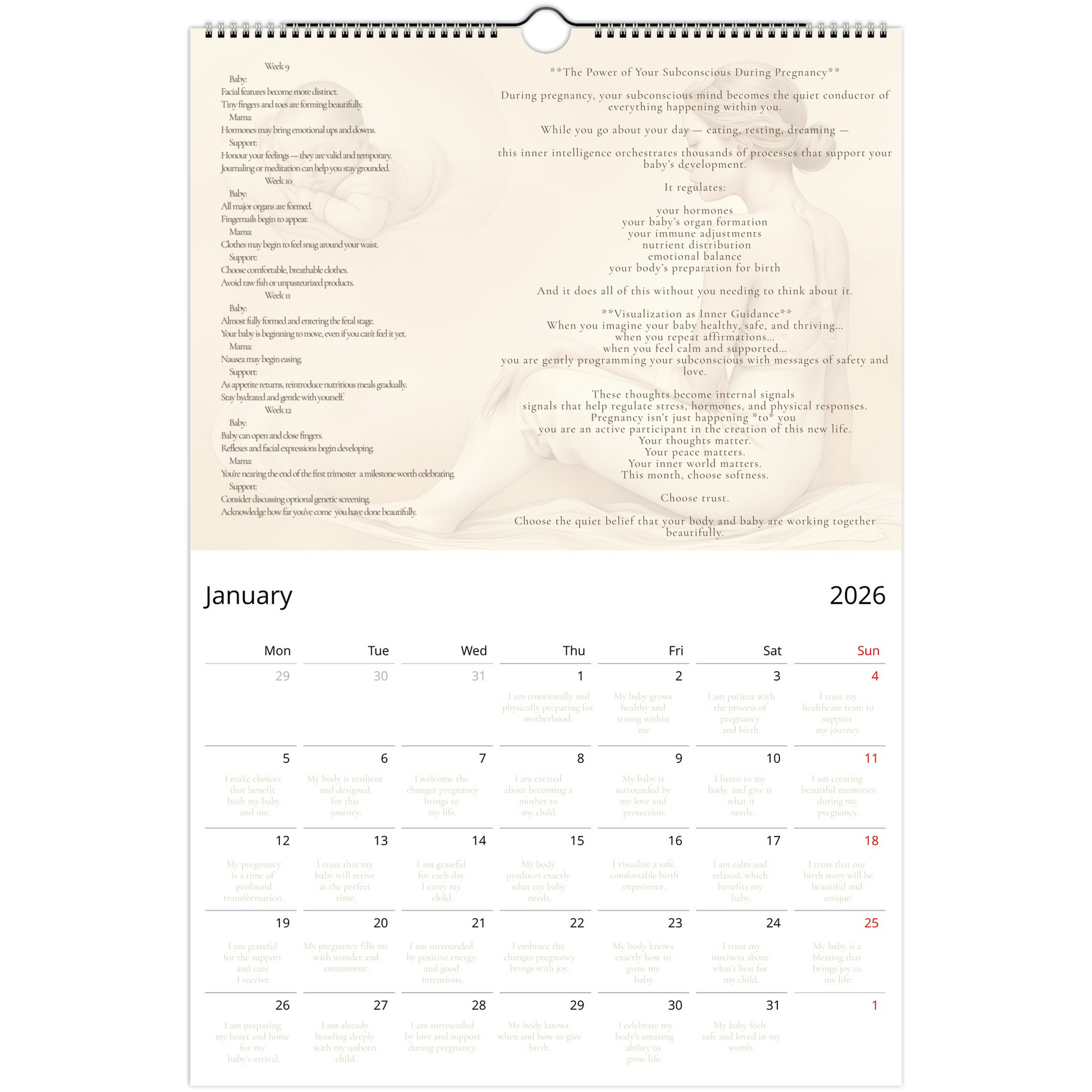 70f14e6a-64a7-4e0b-9213-1ed485642362