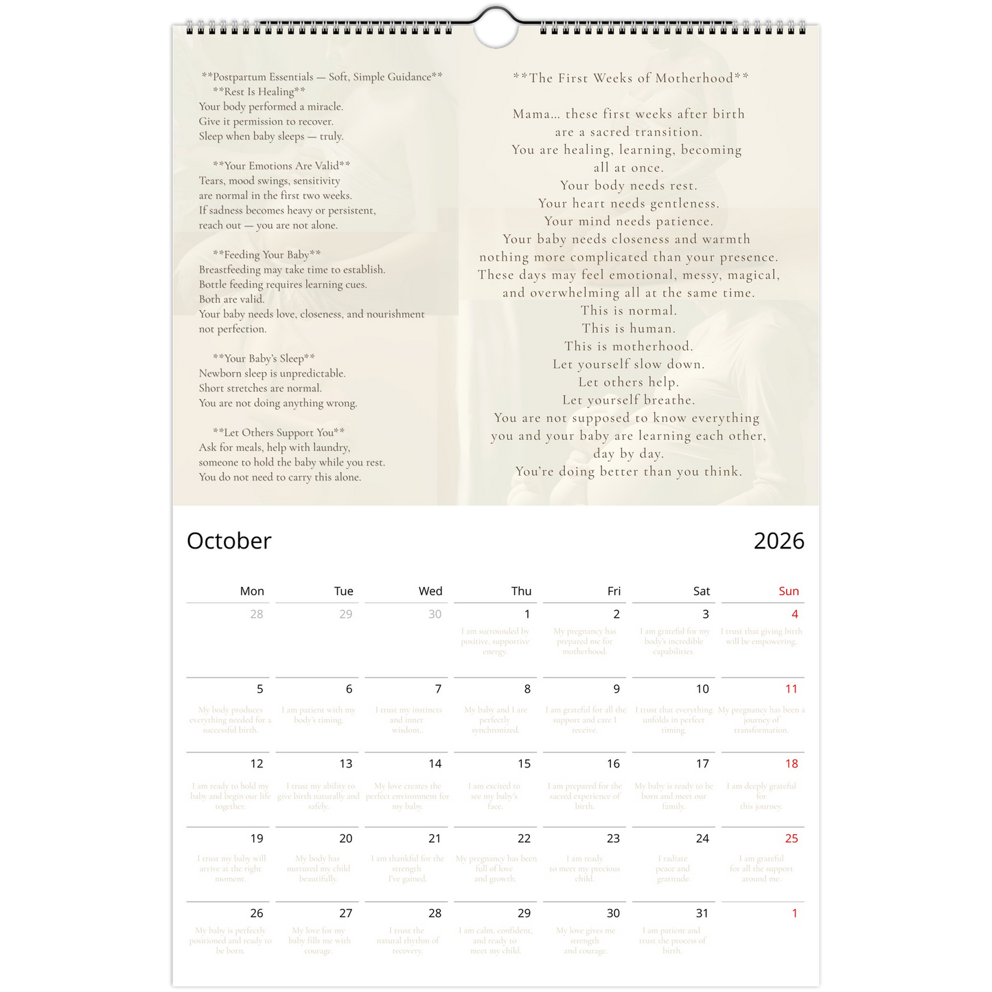 768d627e-0e98-40d5-93e2-2ba29138346e