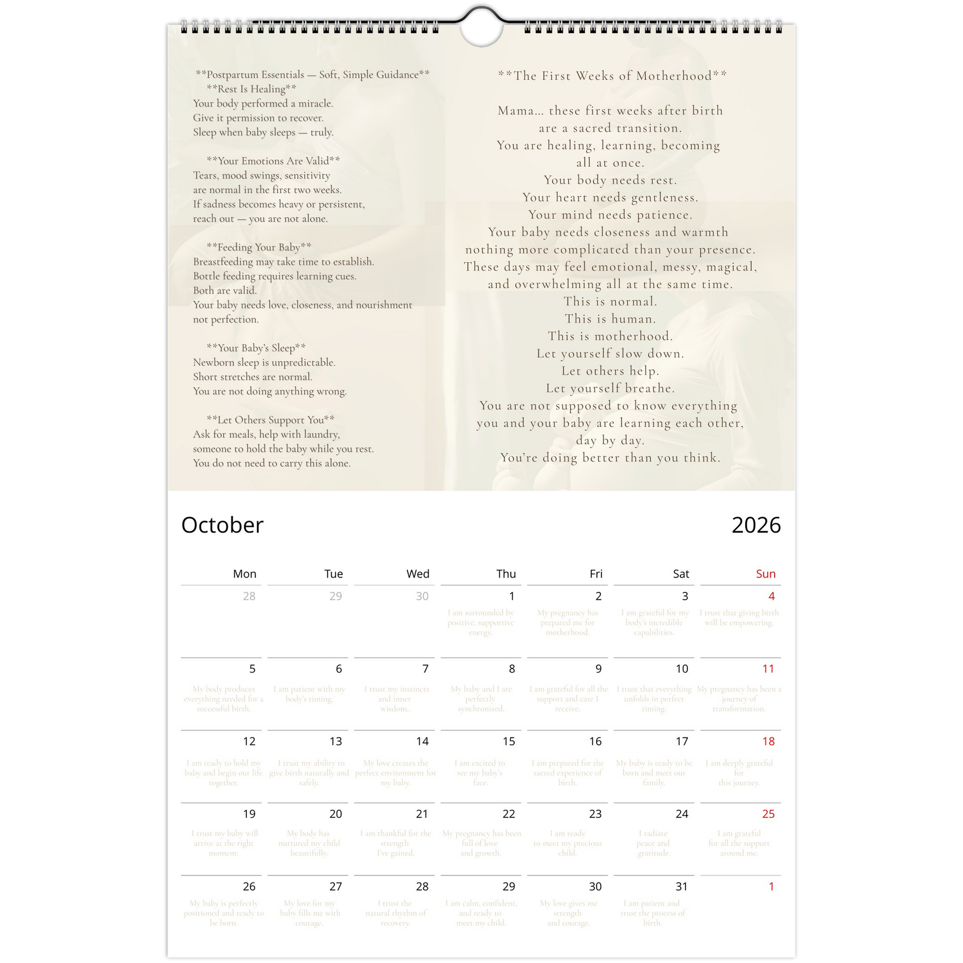 768d627e-0e98-40d5-93e2-2ba29138346e