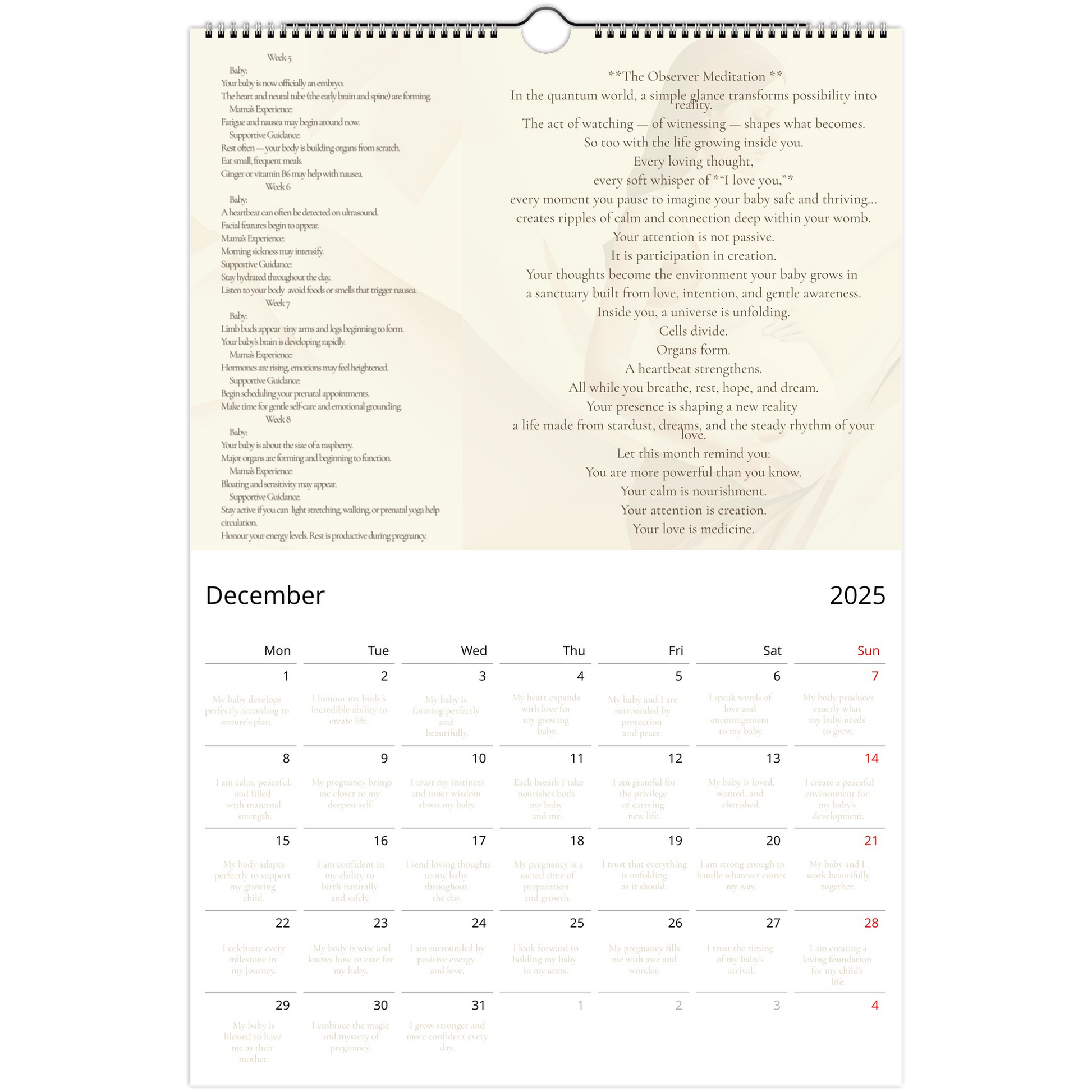 7a7be2db-a37e-4046-bb32-6fc58fcc0381