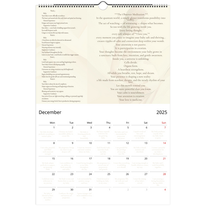 7a7be2db-a37e-4046-bb32-6fc58fcc0381