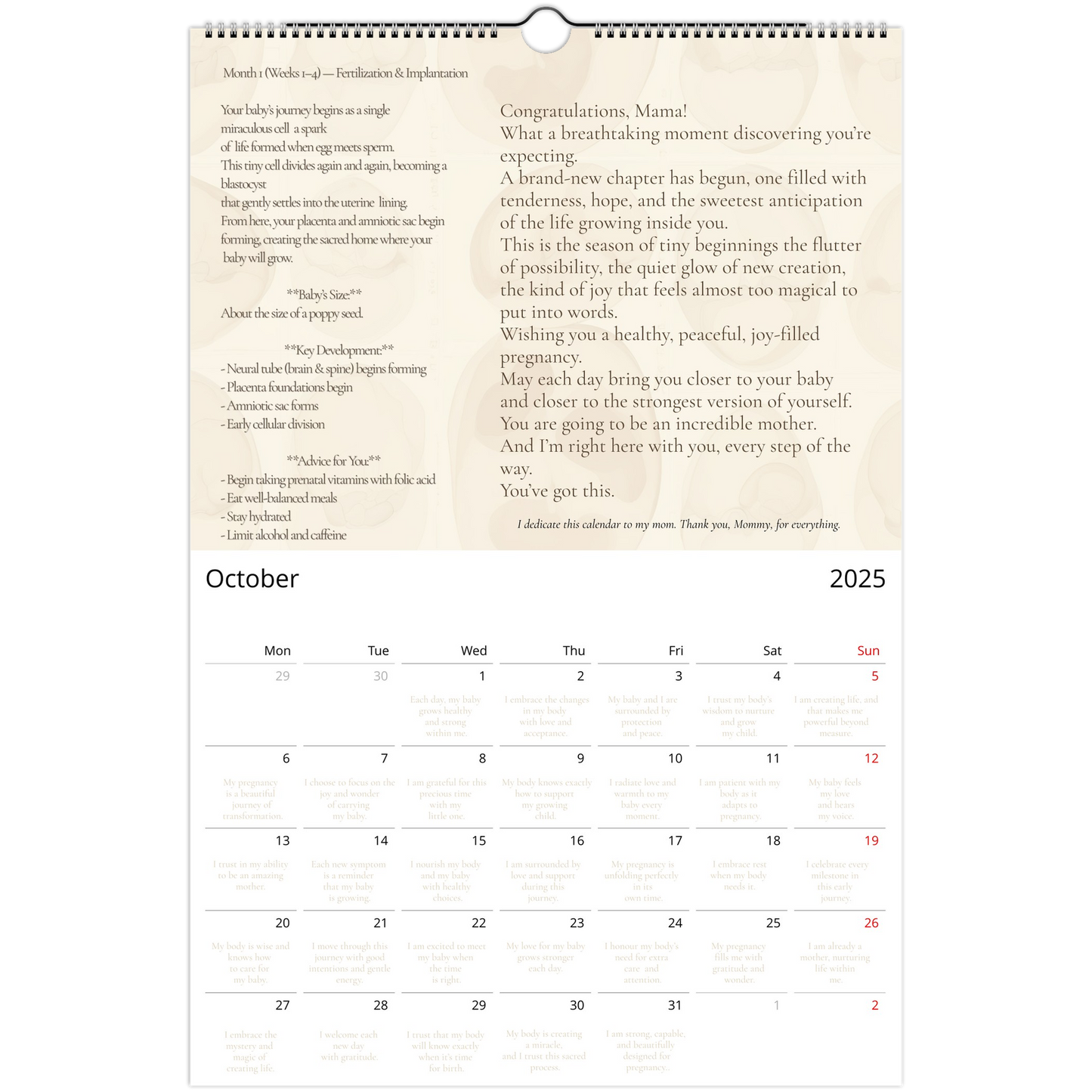 d7a13785-fcbf-4c15-aeda-08507b7cf496