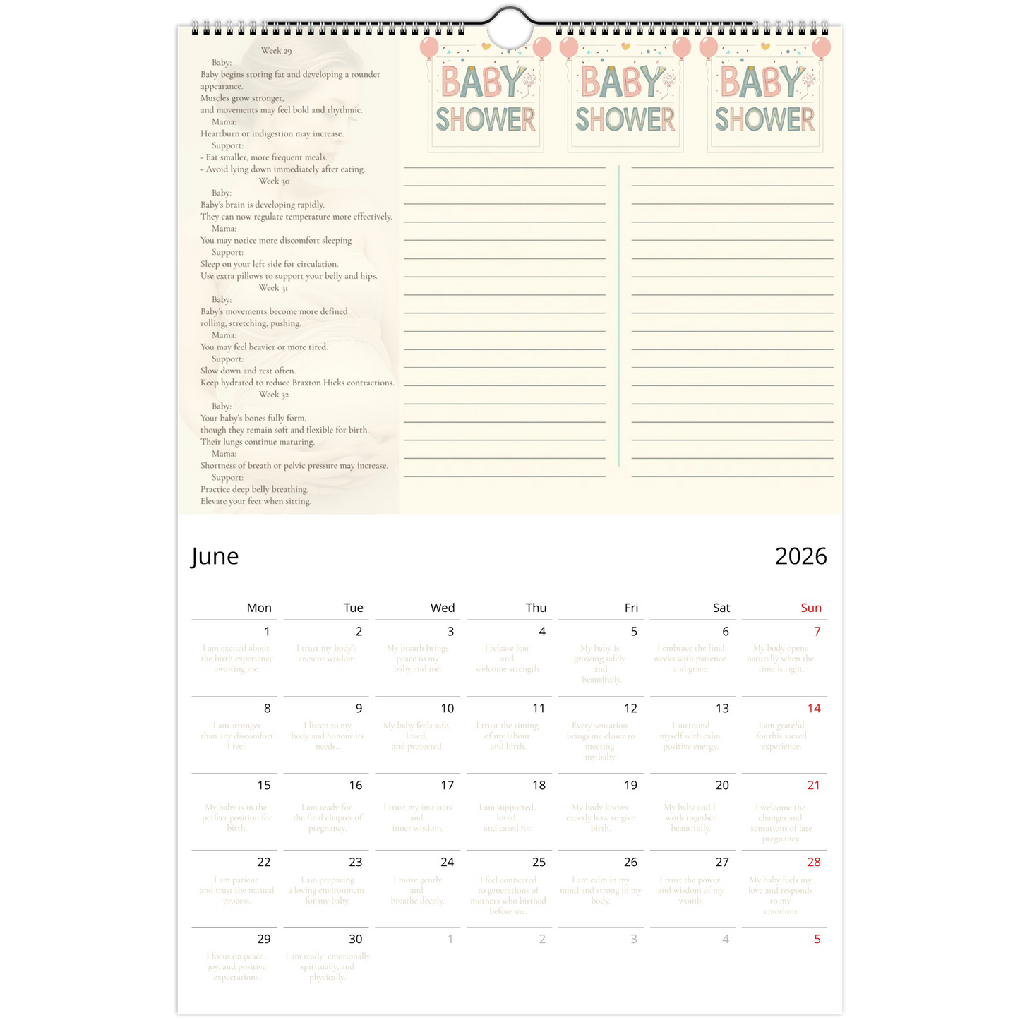 d9c36fcf-eb91-4a7d-8658-fa46949864b5