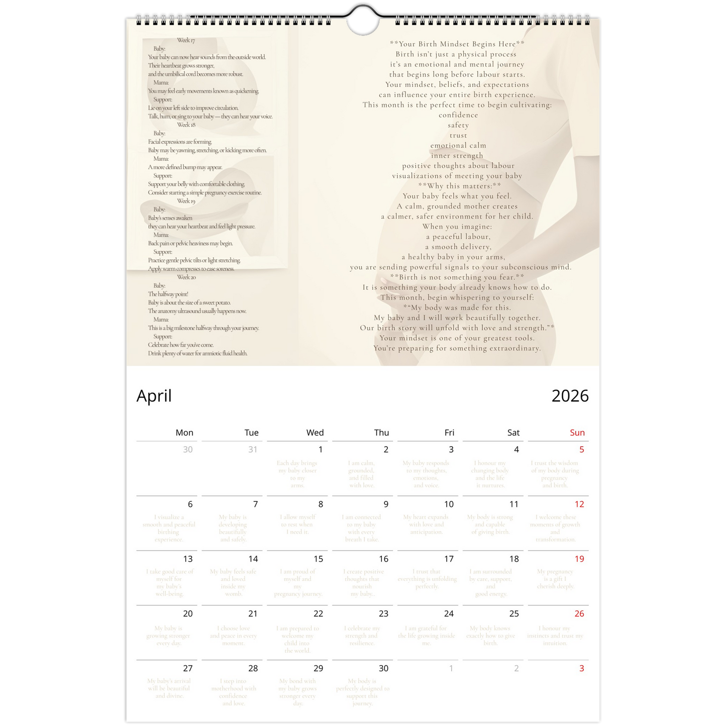 de6a3b5b-0dbe-45d0-a4e4-4fb1caeb393e