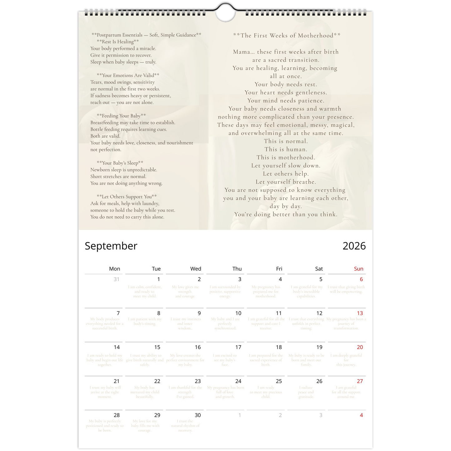 eceb8634-a885-46e2-99b2-cccd505320a3