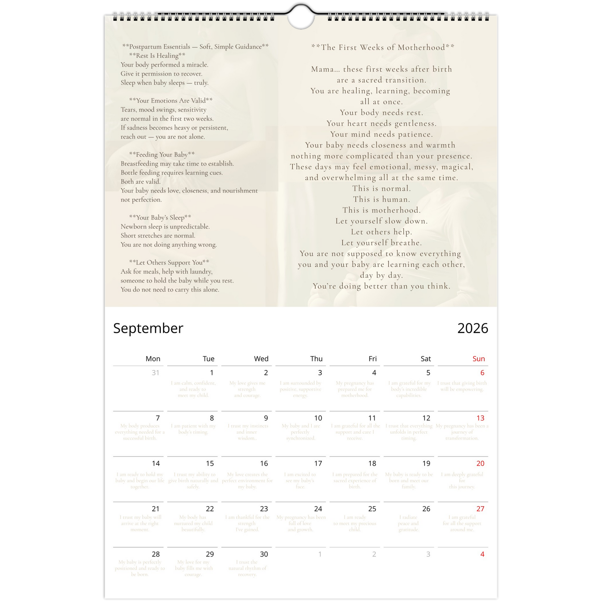 eceb8634-a885-46e2-99b2-cccd505320a3