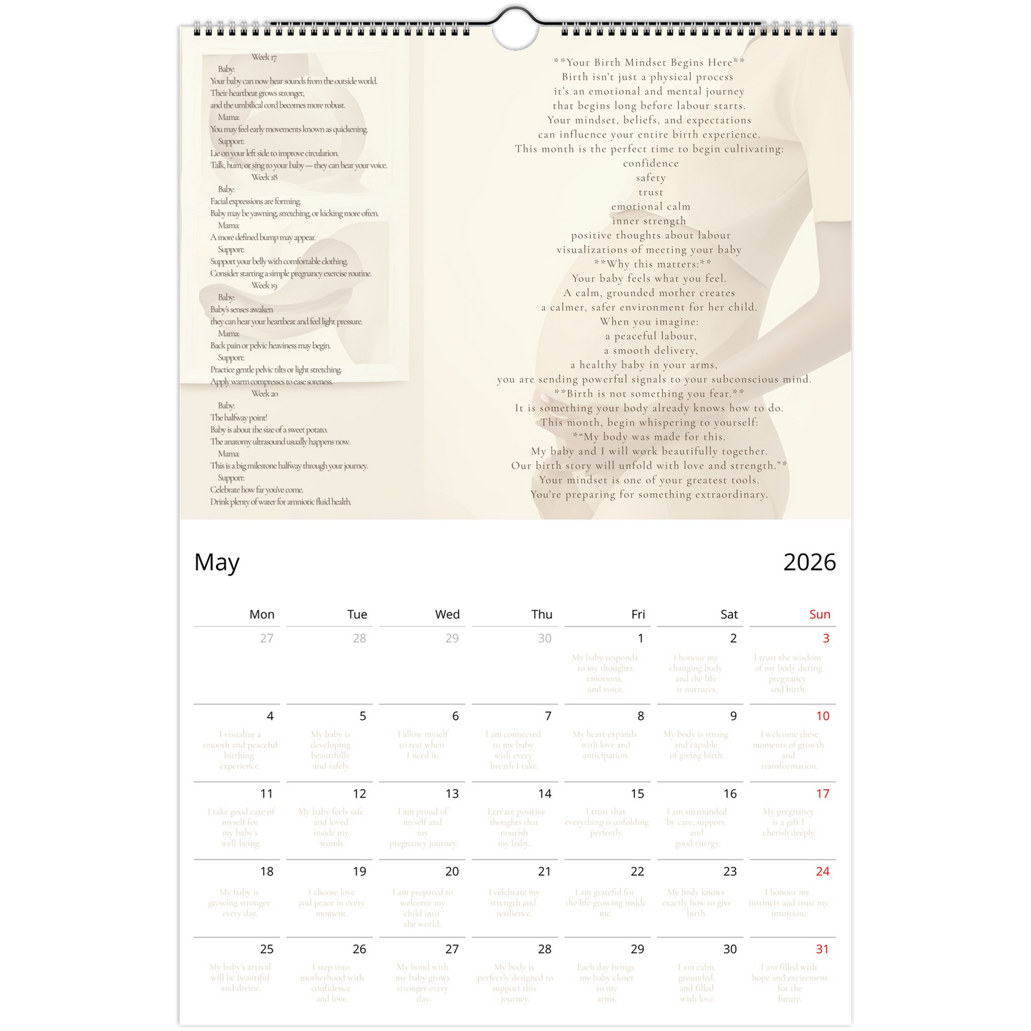 f0d842e8-c399-4fa2-acdf-0267ee528c41