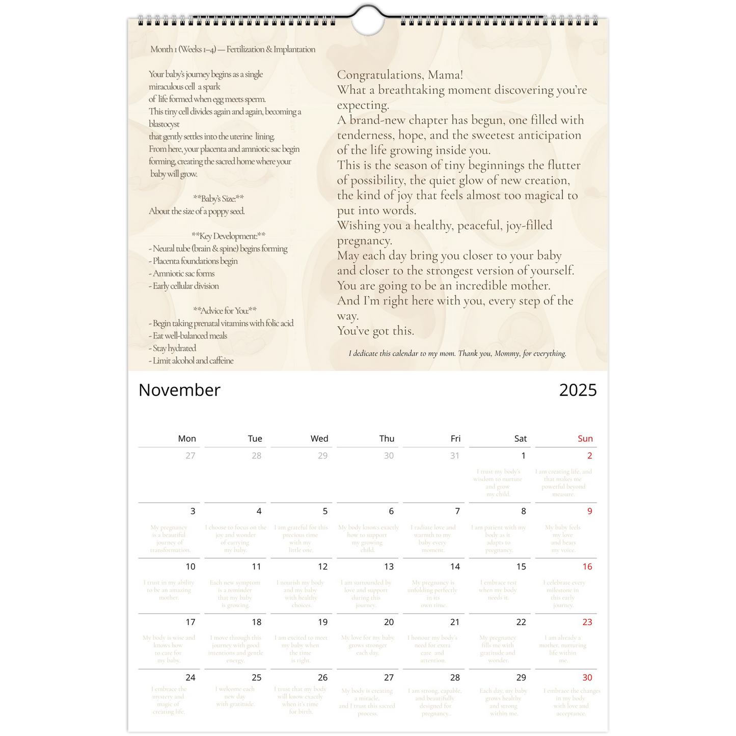 fbb84412-31c7-40da-abd0-b2ffab7e3579