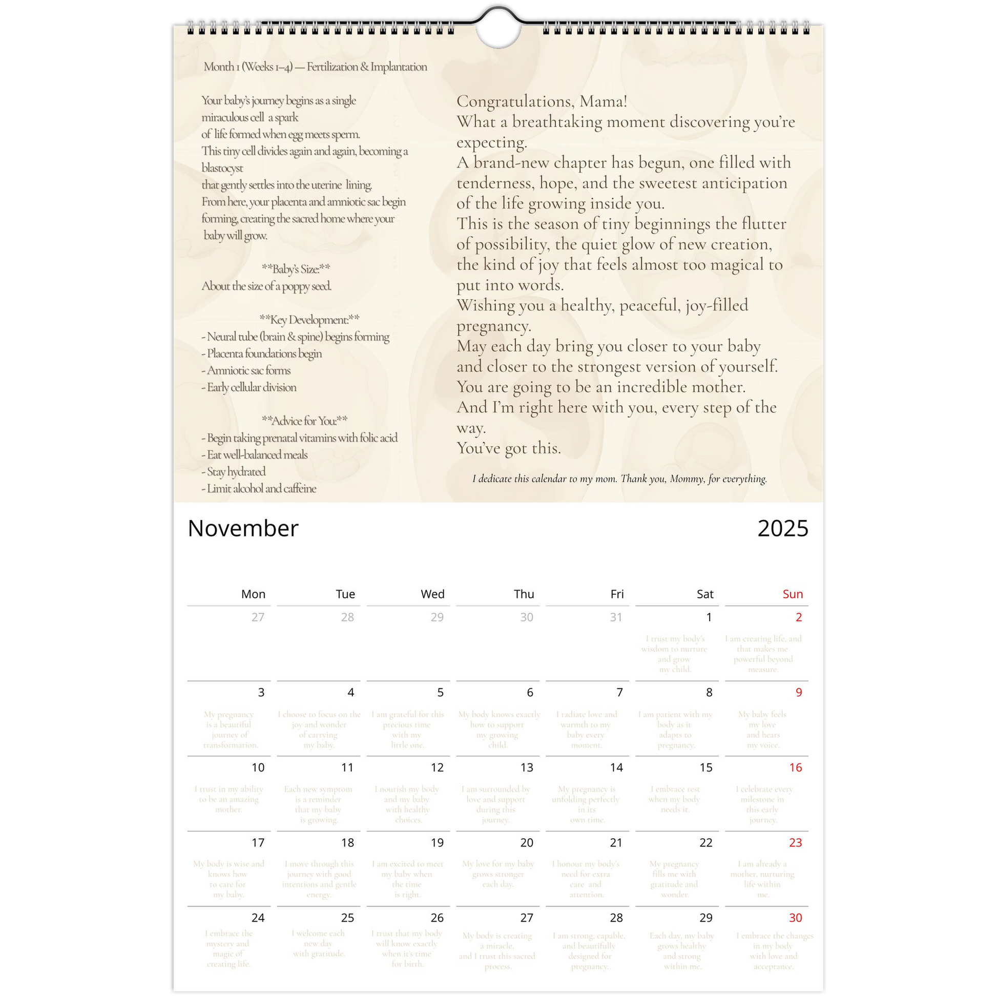 fbb84412-31c7-40da-abd0-b2ffab7e3579